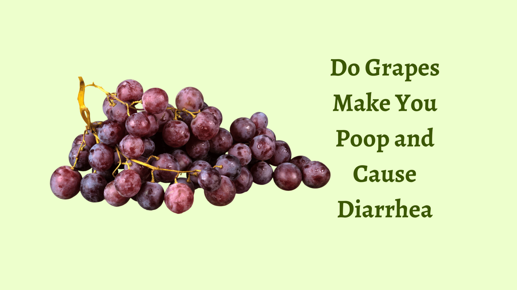 Do Grapes Make You Poop And Cause Diarrhea 4 2048x1152 
